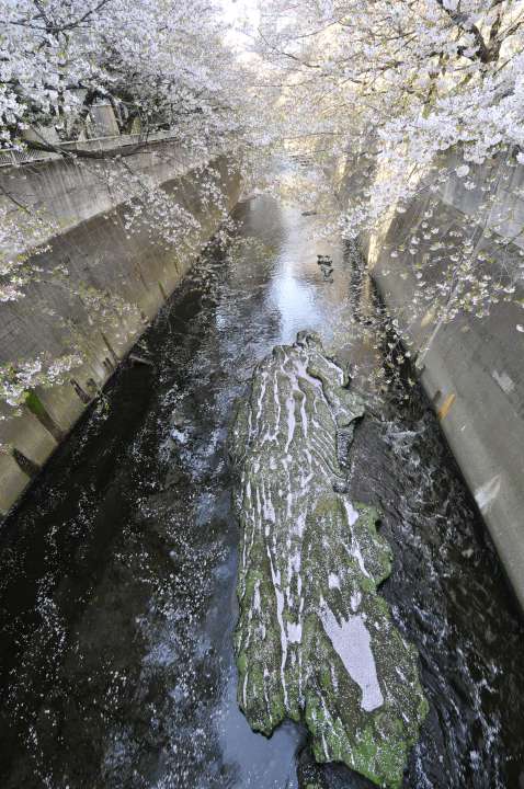c0133133_2093619.jpg