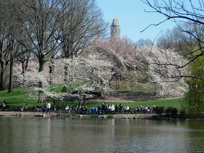 f0200433_21174986.jpg