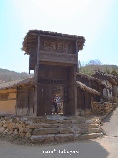 e0081339_22242732.jpg