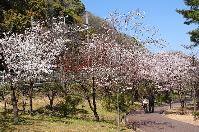 c0153740_20462389.jpg