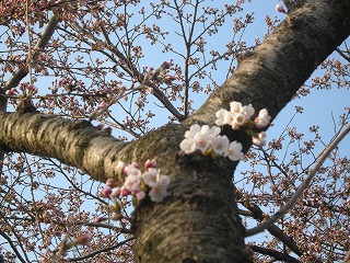 b0157246_2285381.jpg
