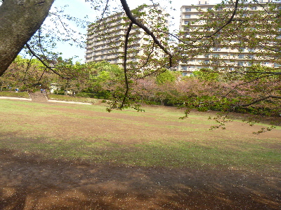 e0121548_1520269.jpg