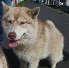 e0121548_15311080.jpg