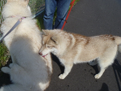 e0121548_15504697.jpg