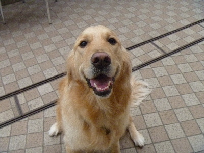 e0121548_22575466.jpg