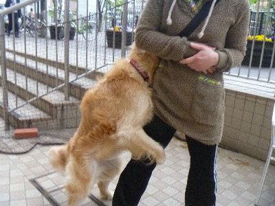 e0121548_23181862.jpg