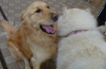 e0121548_2361560.jpg