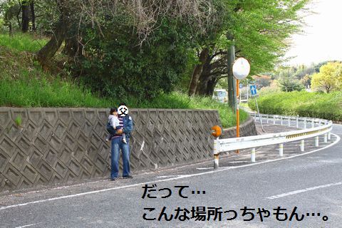 a0090451_1441219.jpg