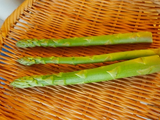 e0004756_210408.jpg