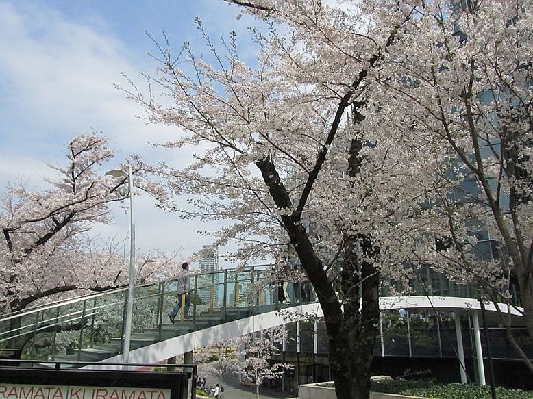 e0129656_22402040.jpg