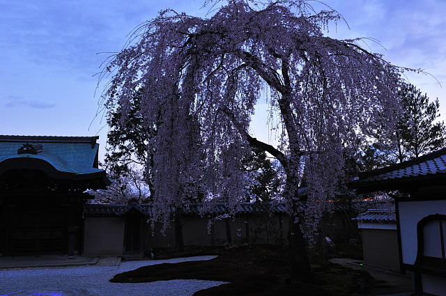 f0222161_13184089.jpg