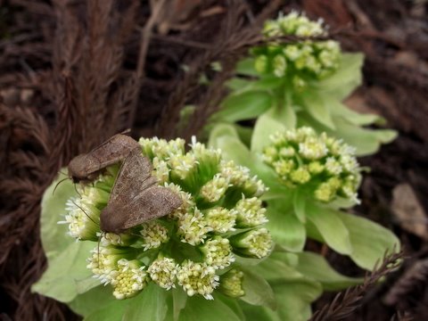 b0130166_2319211.jpg