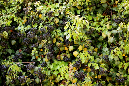 b0210768_056228.jpg