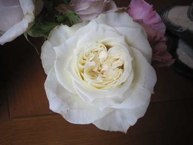 c0202870_9231698.jpg