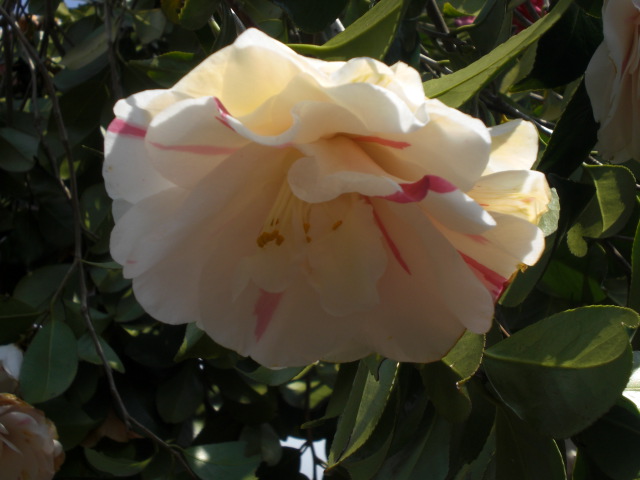 f0153475_14251753.jpg