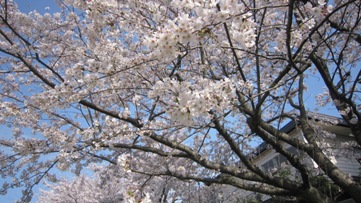 c0111882_2213468.jpg