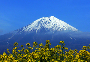 b0122085_1755938.jpg