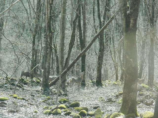 f0079289_952759.jpg