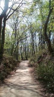 f0189490_21104411.jpg