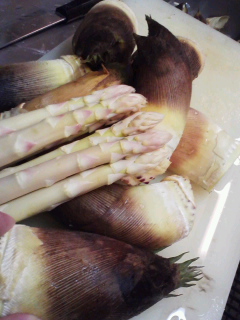 f0085291_2052887.jpg