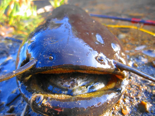 e0202393_734255.jpg