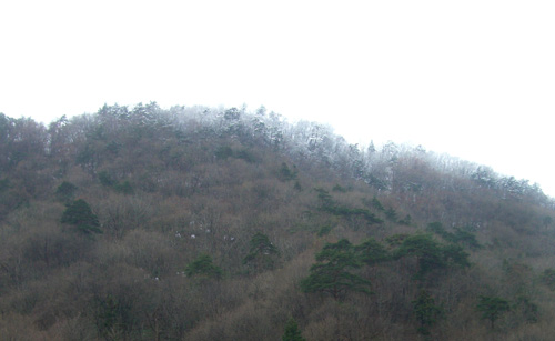b0099994_1415870.jpg