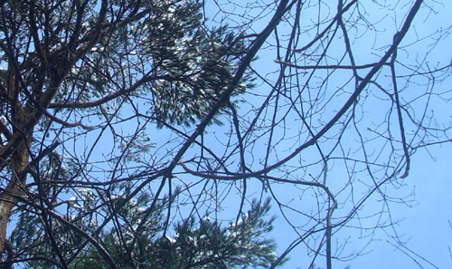 b0099994_1416194.jpg