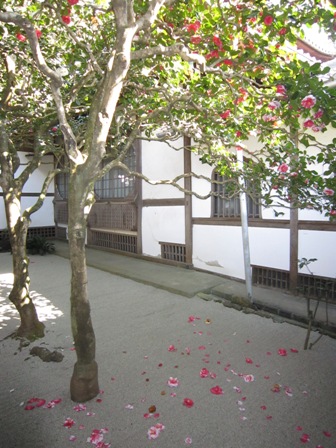 e0126594_89215.jpg