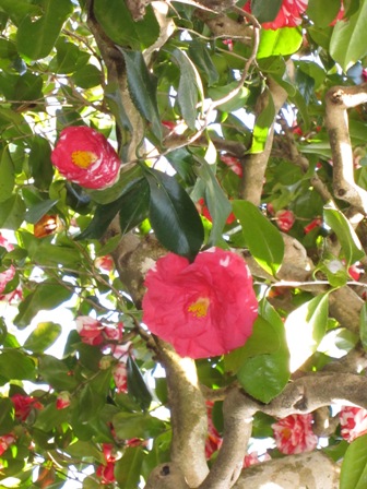 e0126594_893791.jpg