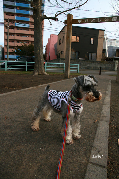 f0001895_16234059.jpg