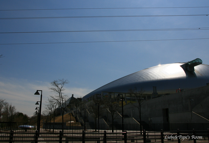 f0001895_16281418.jpg