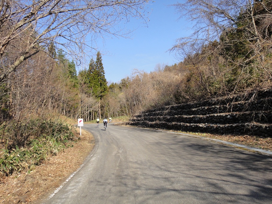 b0092300_2318958.jpg