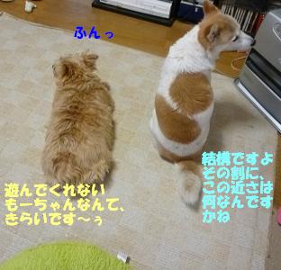 a0154801_19121591.jpg