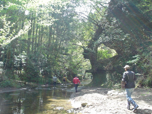 a0116205_239426.jpg