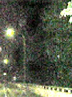 e0103408_12242966.jpg