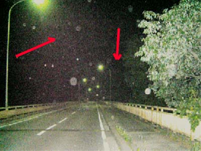 e0103408_12364938.jpg