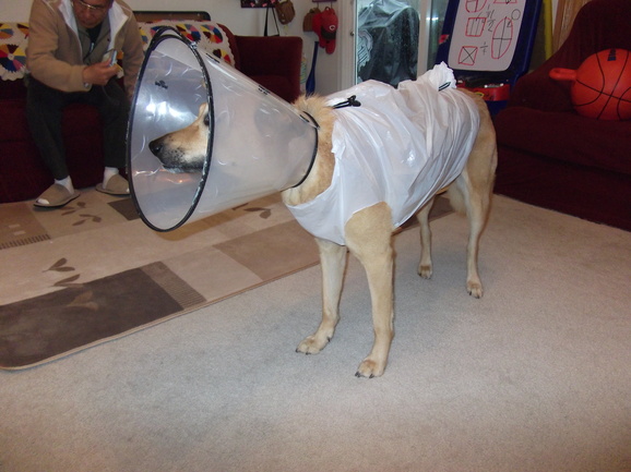 c0079011_22148.jpg