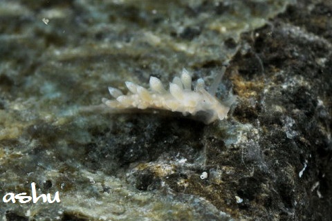 f0046614_22132169.jpg