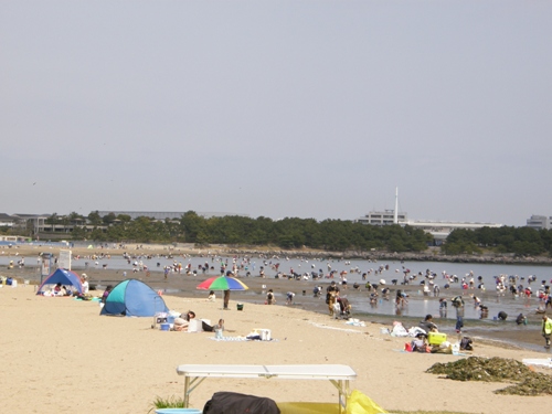 c0158916_2026376.jpg