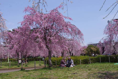a0030217_1738570.jpg