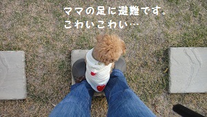 b0197418_145219.jpg