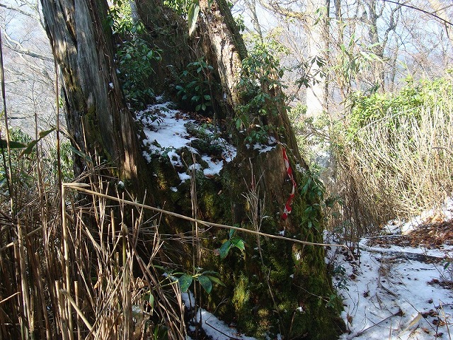 f0193521_1155883.jpg