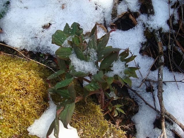 f0193521_12134352.jpg