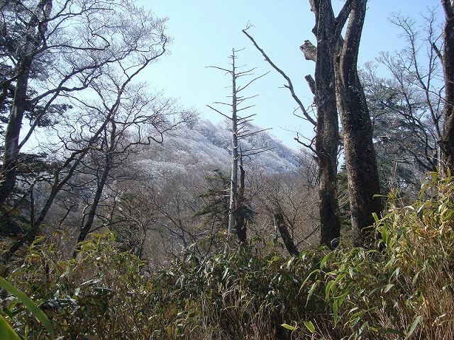 f0193521_1213997.jpg