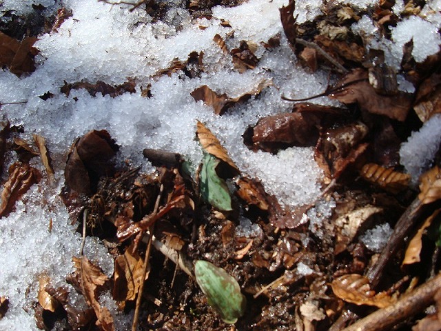 f0193521_12141720.jpg