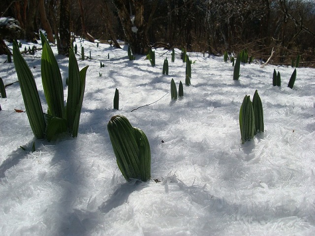 f0193521_1214544.jpg