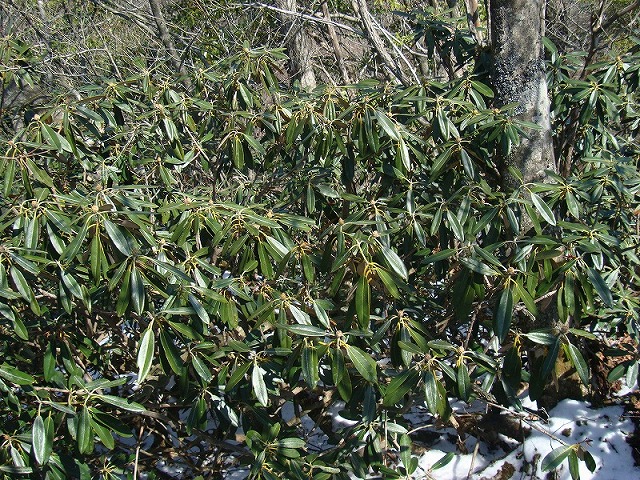 f0193521_12195063.jpg