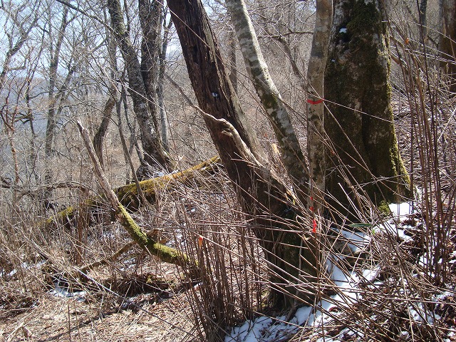 f0193521_12305853.jpg