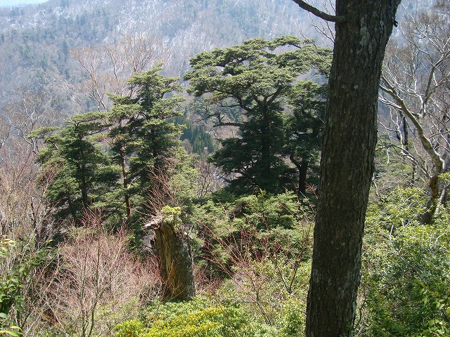 f0193521_12311871.jpg