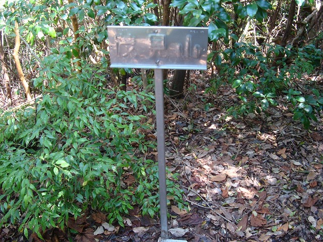 f0193521_123569.jpg